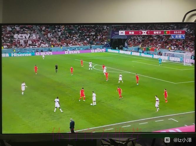 免费观看世界杯比赛直播在线高清